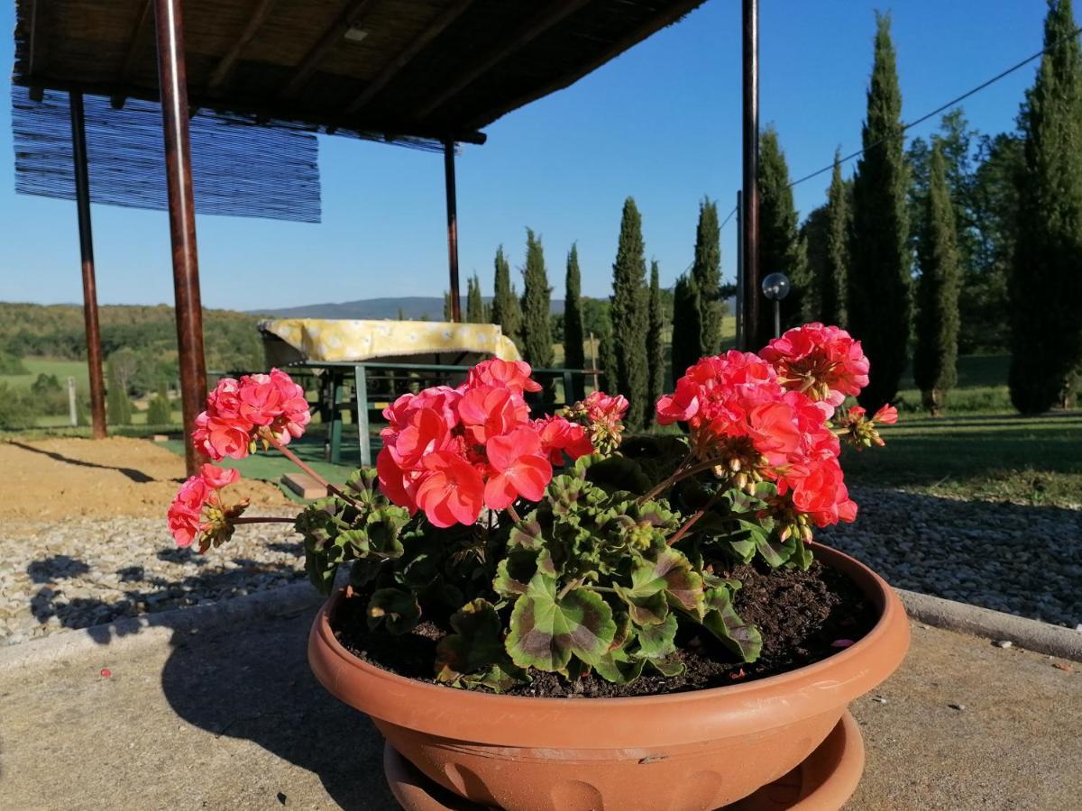 San Fedele Alloggi